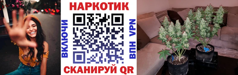 Какие есть наркотики Петров Вал Амфетамин  Канабис  APVP 