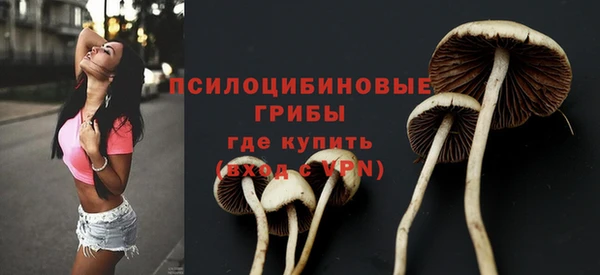ALPHA-PVP Володарск