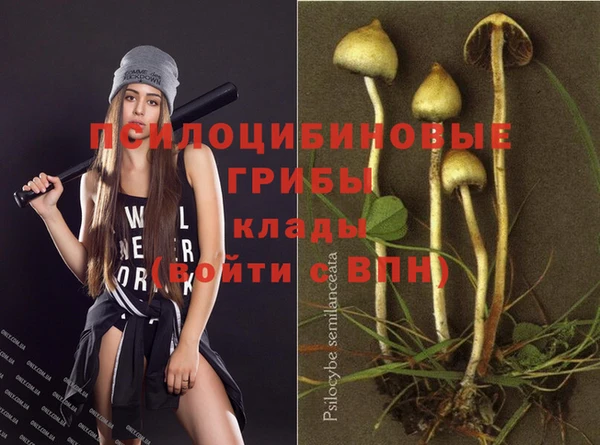 ECSTASY Волосово