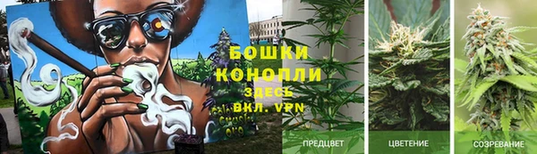 ECSTASY Волосово